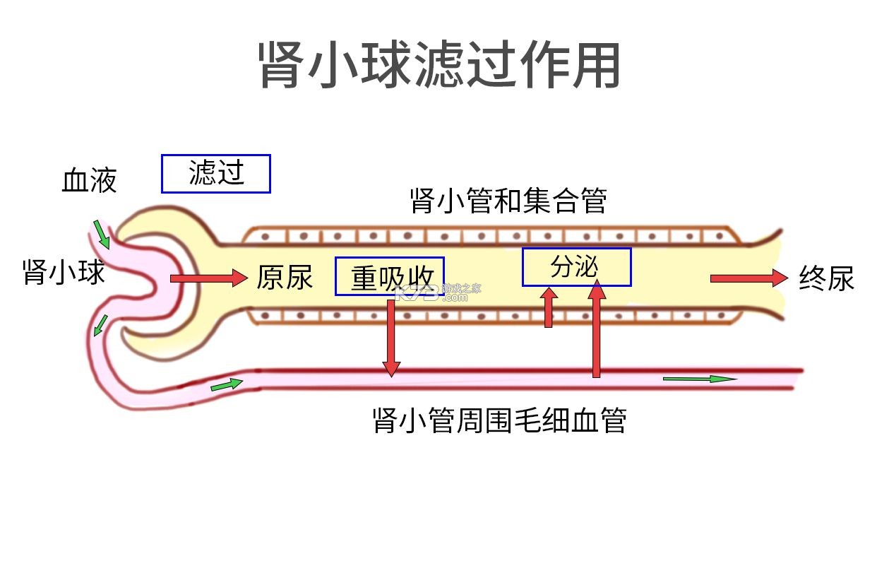 微云验方 v3.3.3 下载官方版 截图