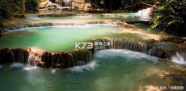 茁壮密码本 v6.2.261026 下载安装app 截图