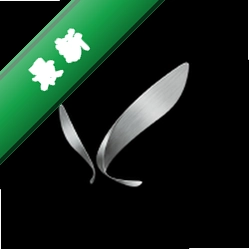 Synrise下载安装appv0.1.10