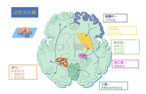 记忆仓库 v1.1.3 下载安装app 截图