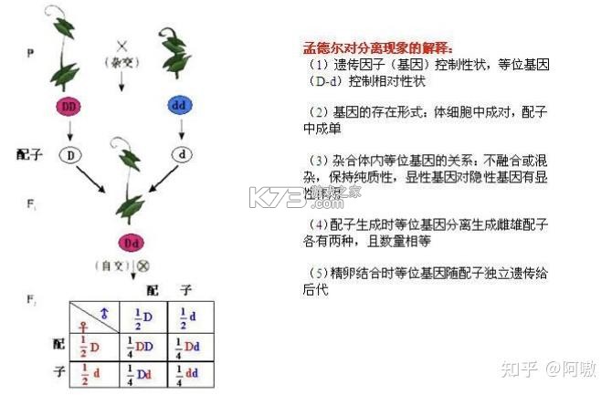 居小智 v11.0.9 下载安装app 截图