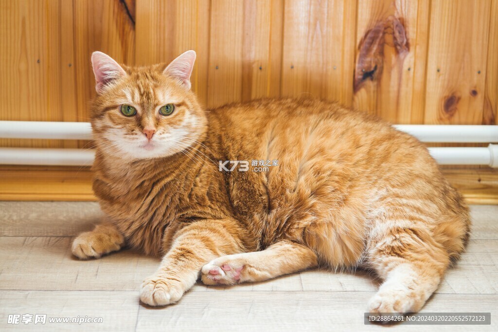 猫番阅读 v1.8.24 下载安装app 截图