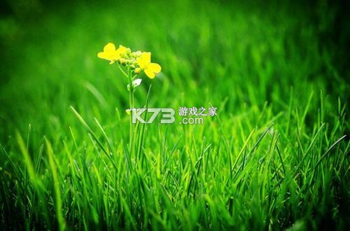 绿色有机 v1.5.0 下载官方版 截图