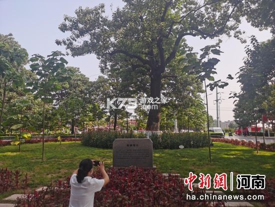 海豚与积分 v1.1.1 下载app安装 截图