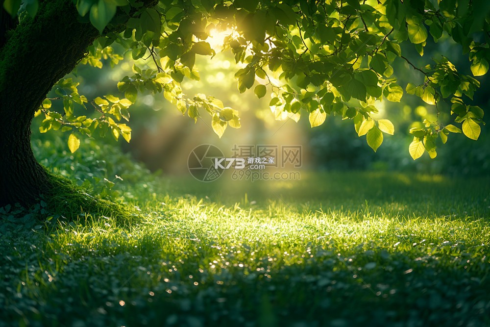 阳光AI语音助手 v1.3.2 下载安装app 截图