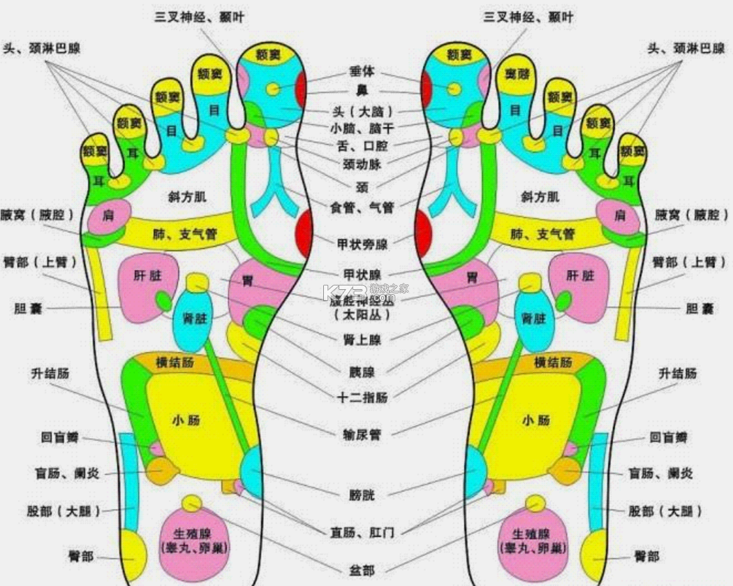 甘露音乐 v1.1.0 下载免费 截图