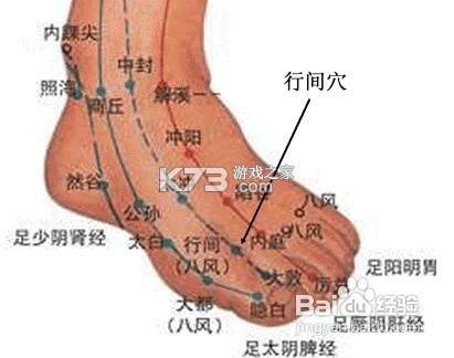 甘露音乐 v1.1.0 下载免费 截图