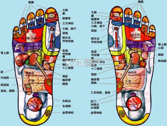 甘露音乐 v1.1.0 下载免费 截图