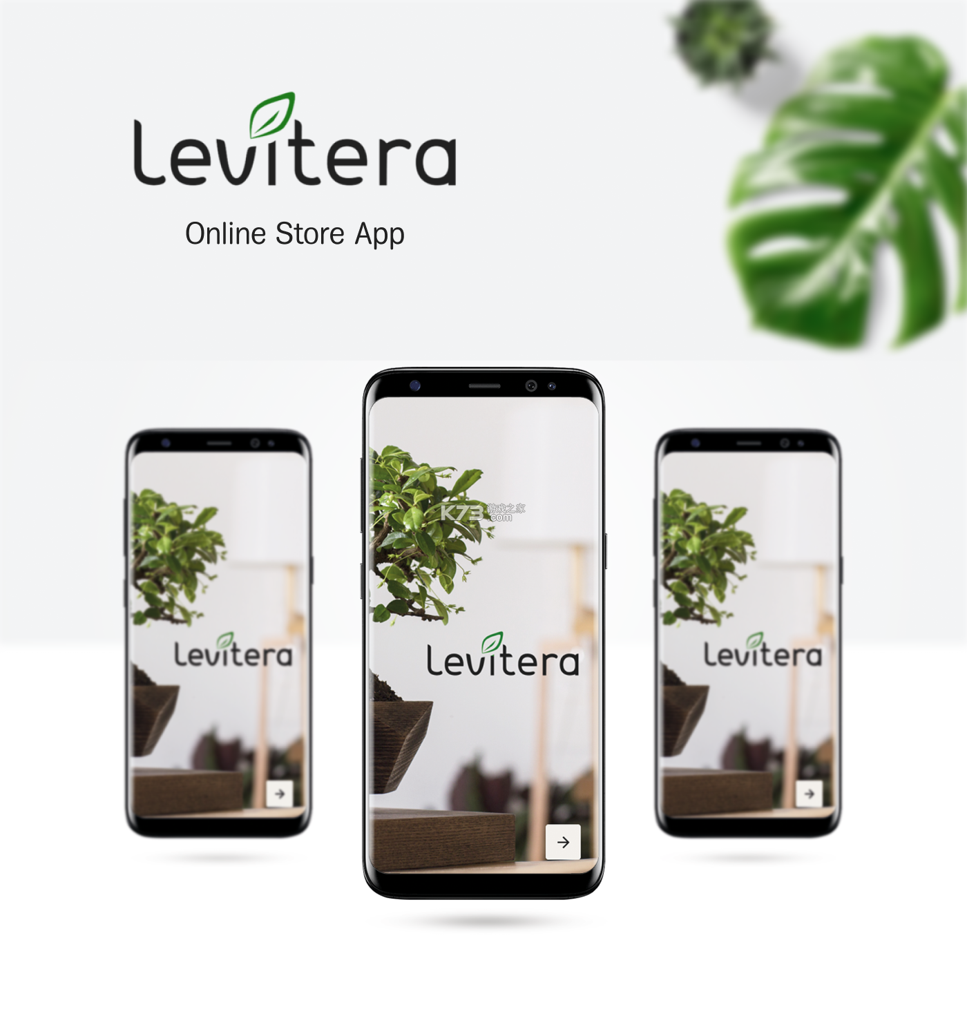 Levyra v3.0.5 官方app下载安装 截图