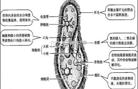 清史数据库 v2.5.0 app下载免费 截图