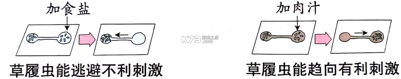 清史数据库 v2.5.0 app下载免费 截图