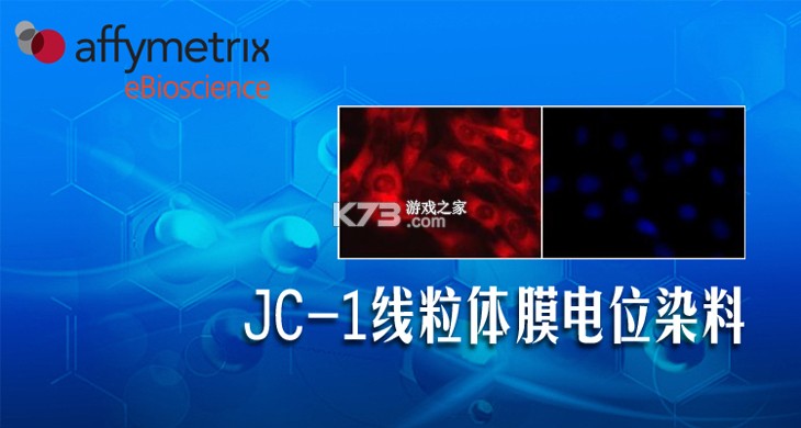 久久浏览器极速版 v1.4.1.1 下载安装app 截图