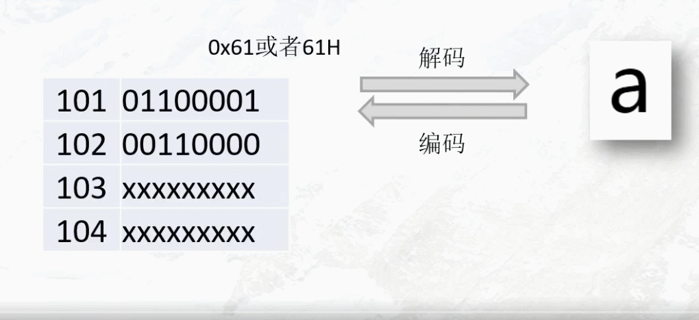 编码工具 v1.0 app下载免费 截图