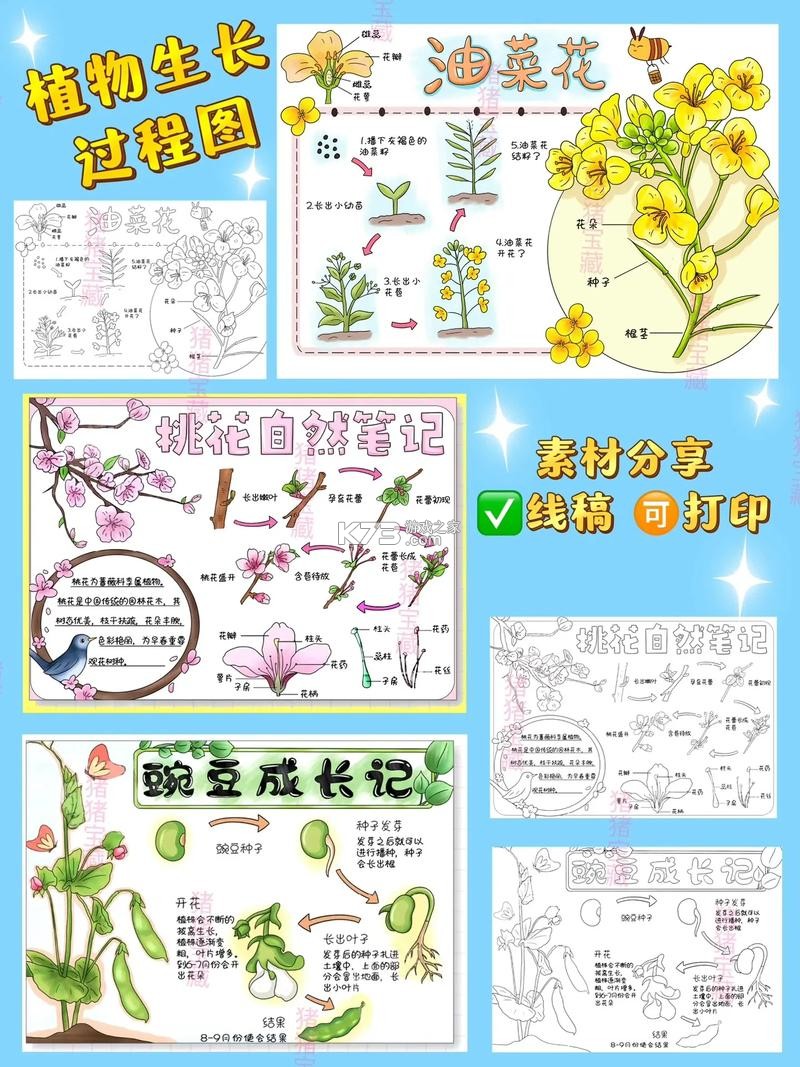不存在の水印 v2.0 下载官方版 截图